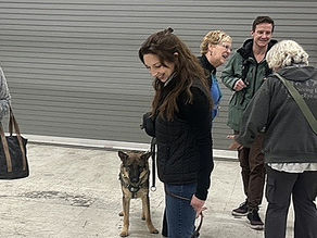 This Puppy Party Has A Big Purpose   Do You Have the Courage? 