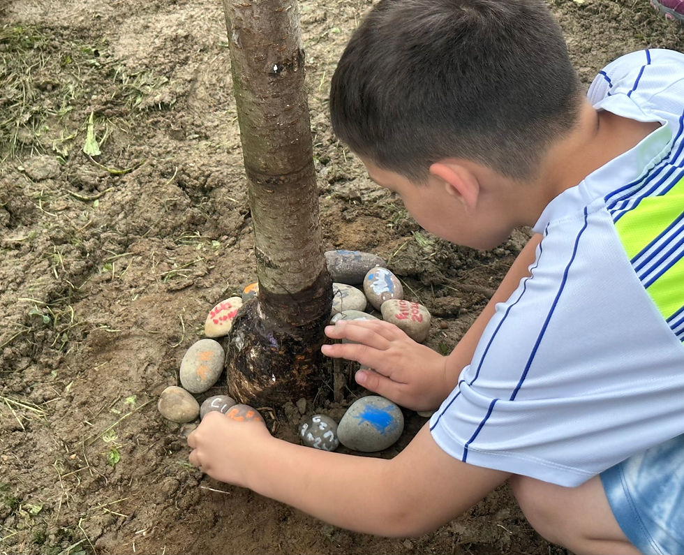 Participants painted rocks and lovingly surrounded the tree with them. They also promised to come back in Spring to see how "their tree" is doing.