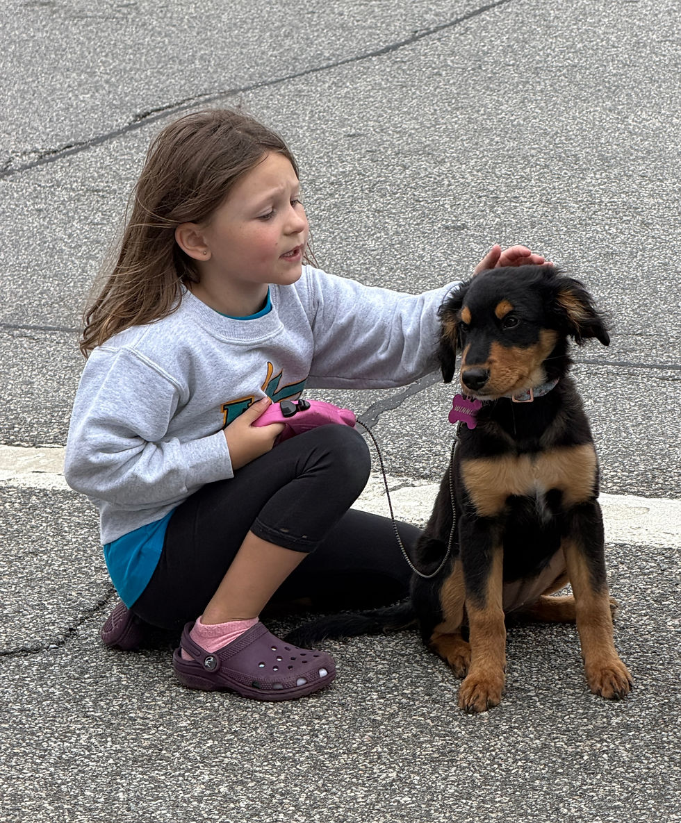 A short happy break for the busy puppy and its Mom