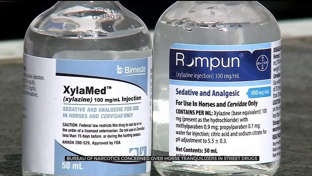 Rompun Skoufis Pushes For Protections Against Dangerous Veterinary