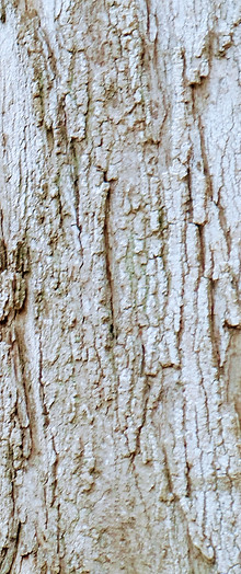 20180219_153531.jpg