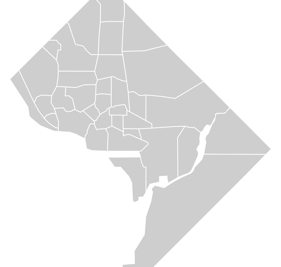 WASHINGTON DC OUTLINE.jpg
