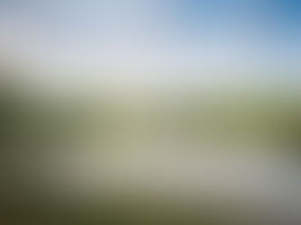 SPRINGVALE VILLAGE. An Introduction.