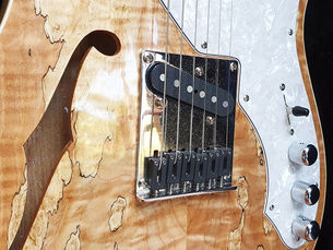 THE ALVER SPECIAL EDITION