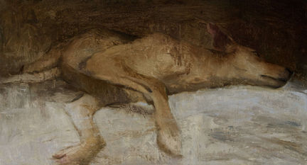 13th Animal Merit Prize