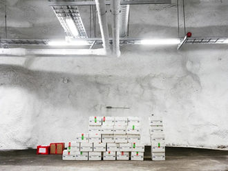 ARCHIVING EDEN: A conversation with Dornith Doherty