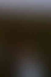 Photographer in Wausau WI