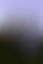 Wausau Couples Photographer