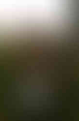 Merrill Photographer