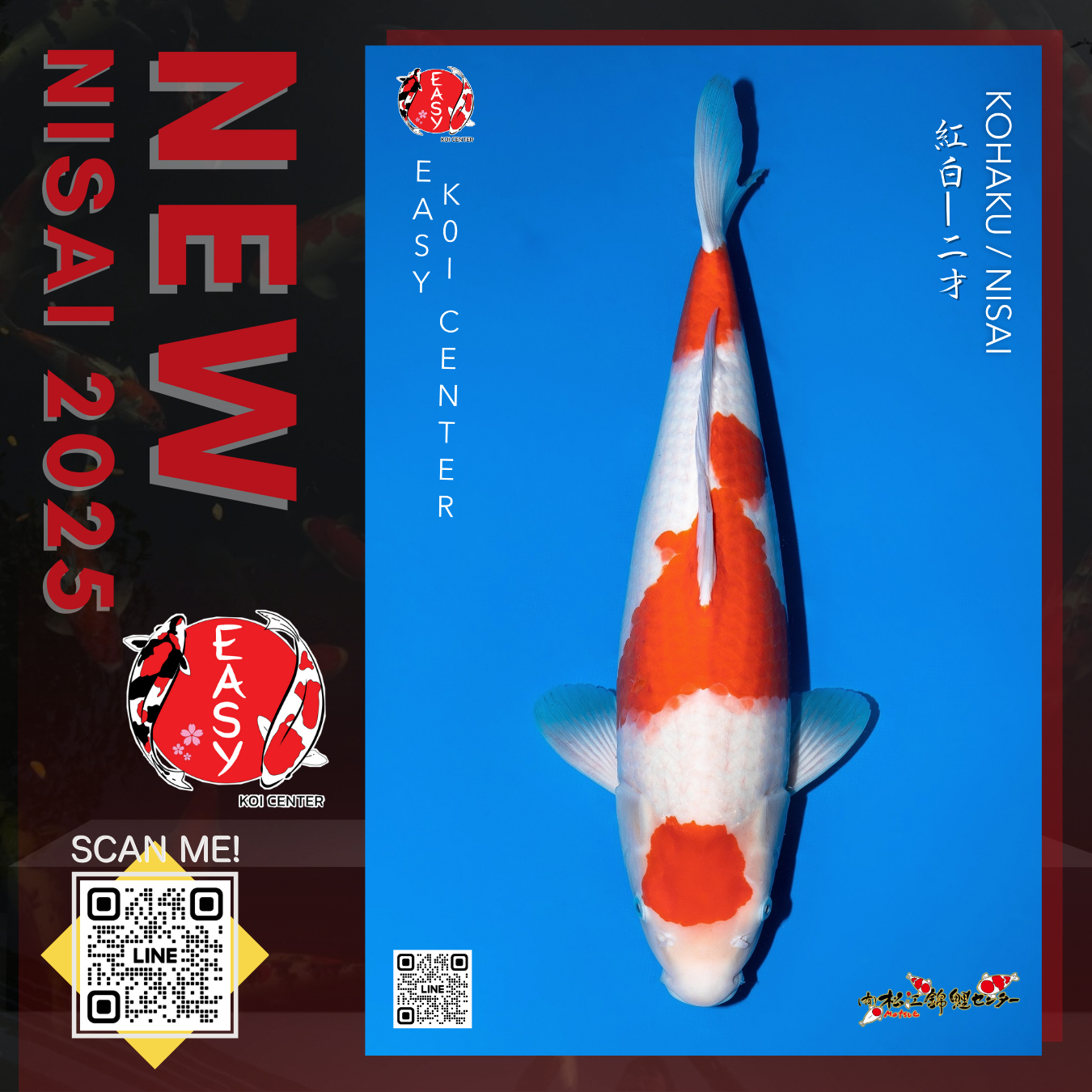 Kohaku (Matsue)