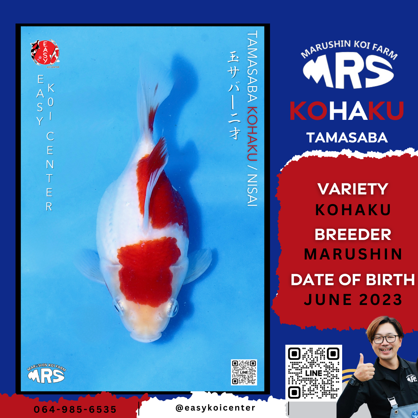 Kohaku Tamasaba (Marushin)