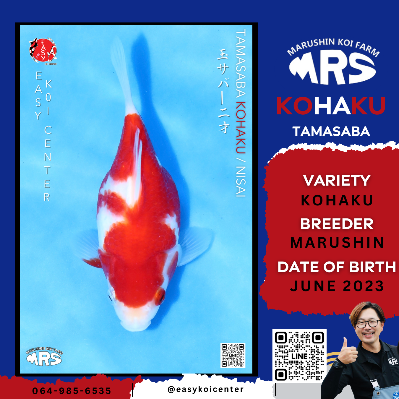 Kohaku Tamasaba (Marushin)