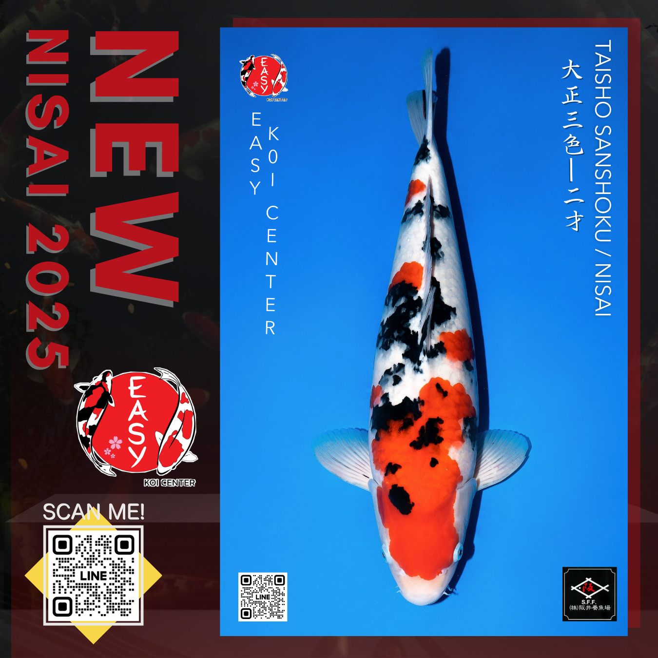 Taisho Sanshoku (Sakai FF)