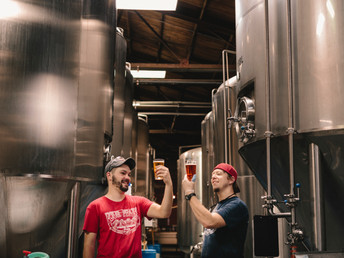 The Brewer's Boiler System