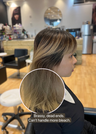 Before image of damaged, over-bleached Asian hair.