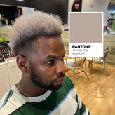 Blue Hair Disaster to Smoky Ash Blonde