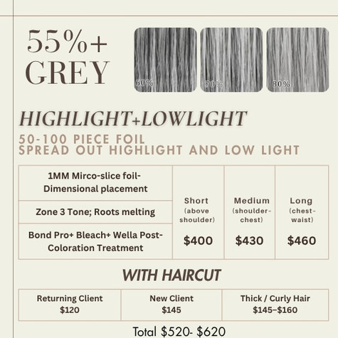grey-hair-blending-price-guide-sunny-sun-hairstylist-melbourne-05-35-50-grey (3)