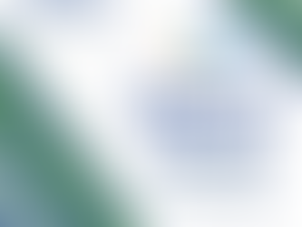 Reviewing Customer Feedback: November PulseM Report Card