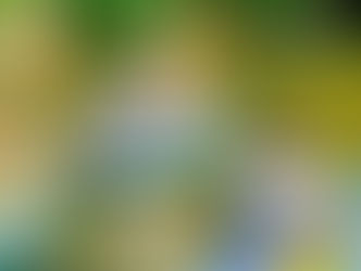 Descenso Internacional del Sella 2018