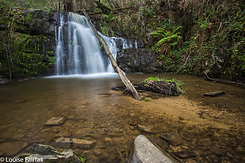 Lilydale-Falls-Upper-IMG_4067.png
