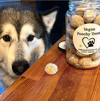 Vegan Poochy Treats
