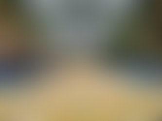 Sous le ciel de Paris #20 - Un trésor royal éphémère au Grand Palais