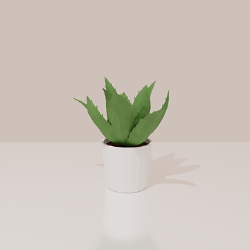 plant 3.png