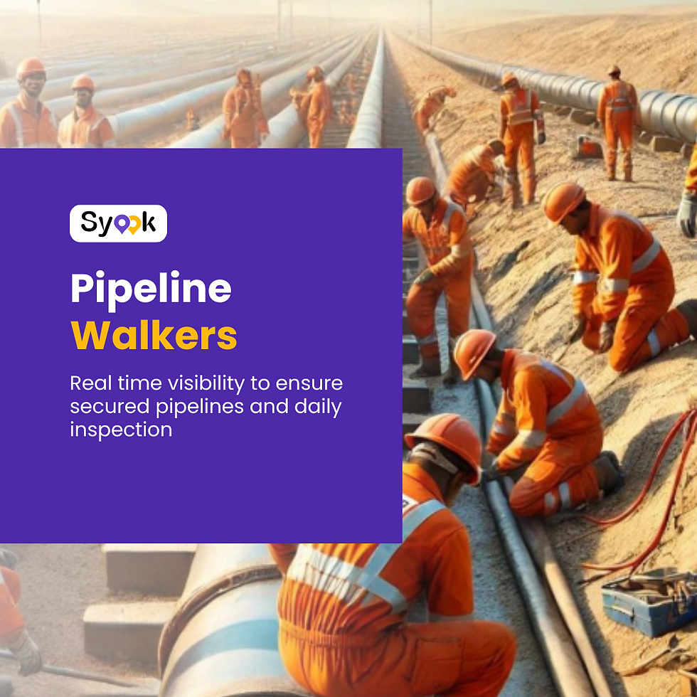 Pipeline monitoring with RTLS
