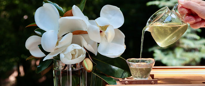 Magnolia 4 Version 3.jpeg