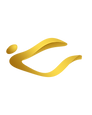 Project DP Logo Design.png