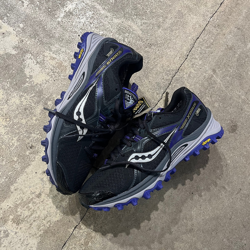 Thumbnail: SAUCONY WMNS XODUS 5 GORETEX US 8 EU 39