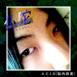 平日に説く仏陀の教え