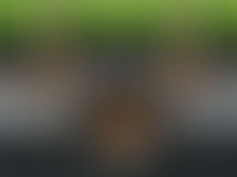 Vue en coupe d'une canalisation souterraine endommagée par des racines d'arbres qui ont percé le tuyau et créent un bouchon, illustrant un des problèmes résolus par le chemisage