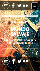 Diseño plantillas web – El artista