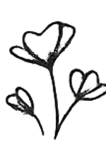 Northamptonshire Wedding Event Decor Logo