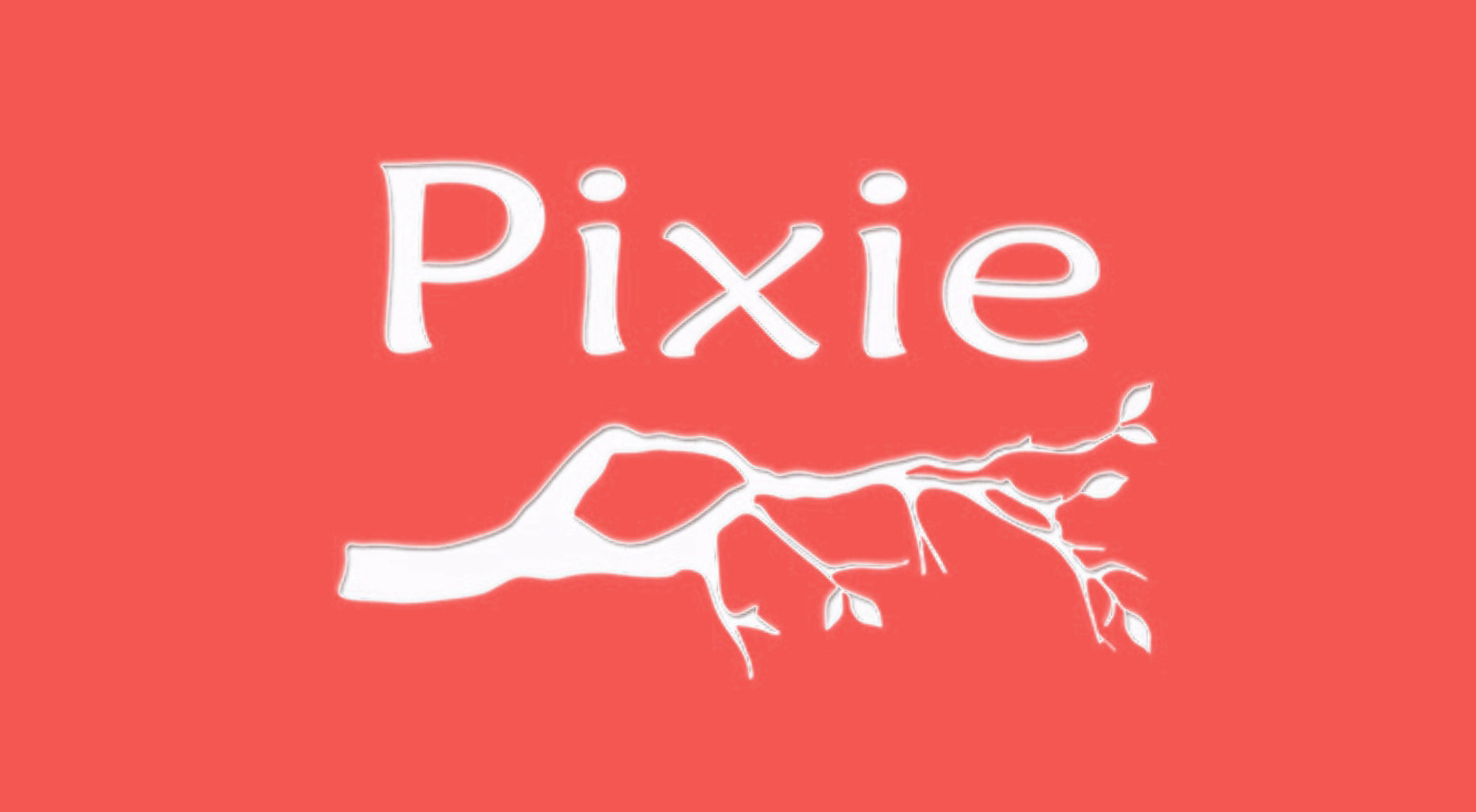 Pixie Cuir