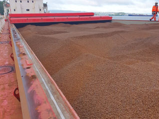 Norway's Arbaflame, trader Terval eye term pellet deal