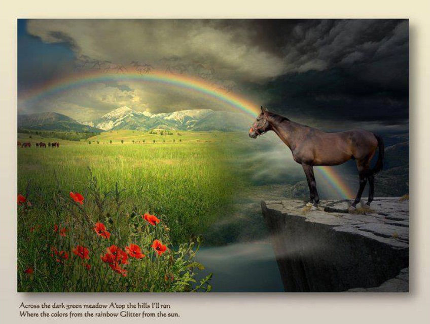 The Rainbow Bridge......