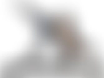 איך נראה שיעור פילאטיס מכשירים ראשון? כל מה שחשוב לדעת לפני שמתחילים