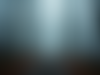 Top Attractions in Haunted Forests