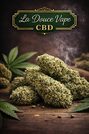 ChatGPT Image 16 janv. 2026, 16_32_52.png