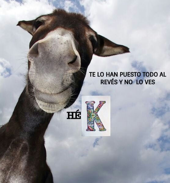 TE LO HAN PUESTO AL REVÉS