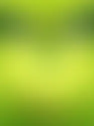 Um novo olhar para o Natal