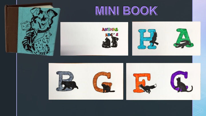 Mini Book