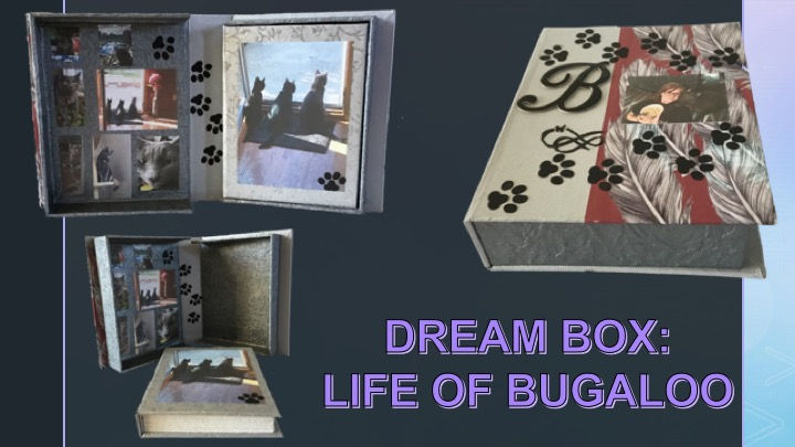 Dream Box