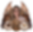 Tan-Yah Jackson.png
