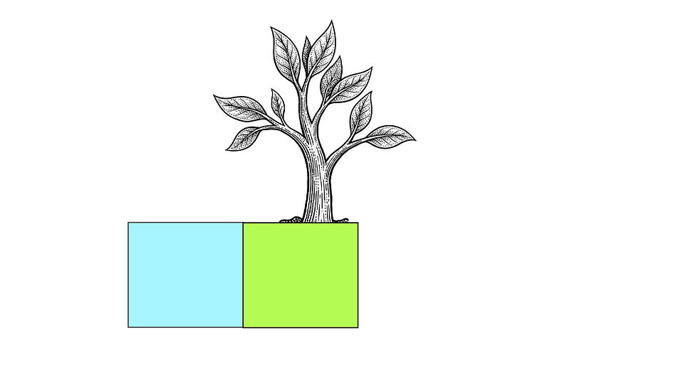 Step 9 BG
