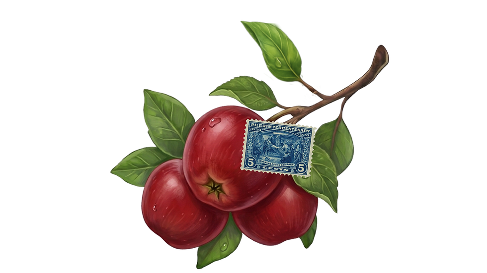 Order book landing page