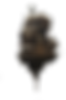 433b503e0e1c915489db45f3ad462036_edited.png