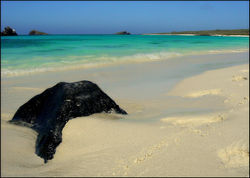 Galapagos Islands